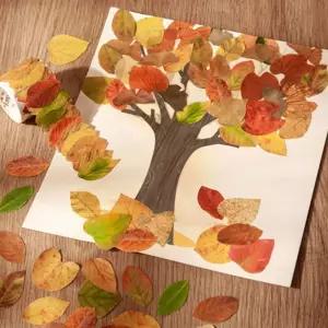 DD 두두엠 가을나무꾸미기 5인용테마학습 주제 색칠하기 스티커꾸미기 꾸미기 만들기재료 미술놀이 옷만들