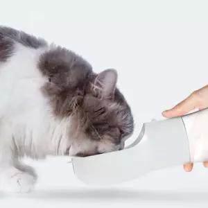 물병 블루 애완동물반자동 강아지 애견 산책 용품 휴대용 물통 급수기