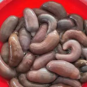 국내산 횟감용 명지 개불 비손질 10미 소