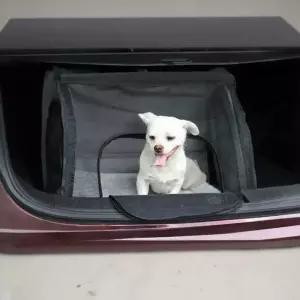 노케이 애견카시트 이동가방 대형견 중형 펫 뒷좌석