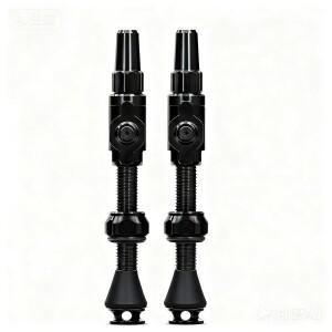 호환 자전거 밸브 빅 보어 하이브리드 튜블리스 45mm 슈레더 캡 MTB/로드/그래블