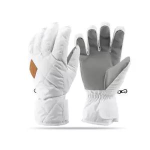 아넥스 성인용 겨울 스키장갑 스노우보드 장갑 방한 5710