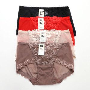 노비 레이스 망사 팬티 3XL 노라인 여성팬티 빅사이즈