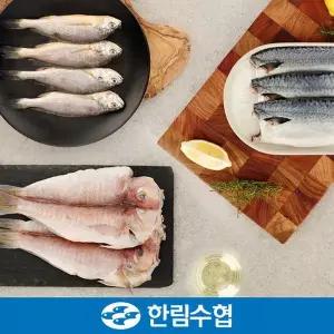 [한림수협][바로배송][제주 한림수협] 제주 옥돔&굴비&고등어 혼합 선물세트 2호 (옥돔 160g x 3팩+굴비...
