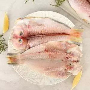 [오초록][바로배송][오초록] 제주 옥돔 5미 세트 750g(옥돔150g5미)