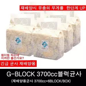 사슴벌레유충먹이 (지블럭)G-block균사 3700cc 6개