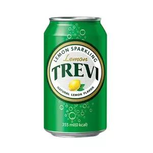 트레비 레몬 355ml 24캔