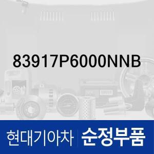 [현대모비스]훅-리어 도어 커튼 (83917P6000NNB) 싼타페 MX5, 싼타페 하이브리드 MX5KH