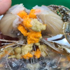 국내산 제철 연평도 급냉 암꽃게 1kg 알배기 수율보장