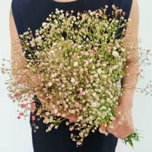 [꽃같은하루] 분홍 안개꽃 한다발 생화 택배 안개 꽃다발 셀프웨딩