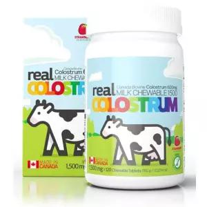 청정 캐나다 리얼초유 츄어블 어린이성장 성인단백질 보충 120정x2병