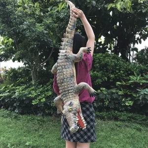 인형 친구 모형 악어 놀리기 서프라이즈 대형 피규어 선물