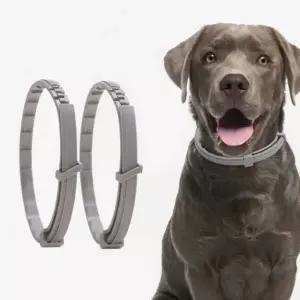 강아지 고양이 목걸이 모기 진드기 퇴치 해충방지 강아지해충방지