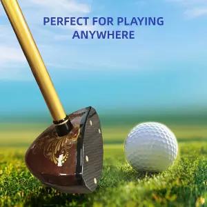 에스앤씨 파크골프채 부모님선물 효도선물 볼