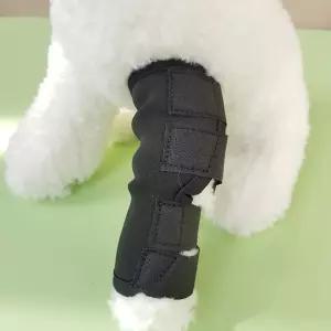 강아지 다리보호대 발목 탈구 탈골 깁스 반려동물