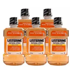 [셀러에이드]리스테린 250ml (내츄럴시트러스) 5묶음