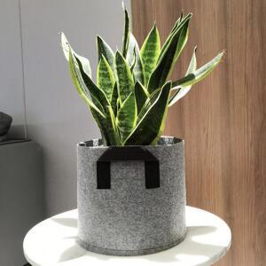 식물 성장 화분 회색 중형 과일나무 채소 야채 키우기