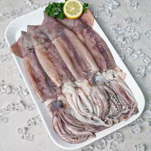 손질 통오징어 260g 2팩