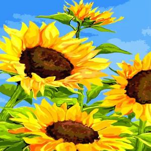 [하모니아트]DIY 유화그리기 그림그리기 세트 유화페인팅 40x50 해바라기와 파란하늘