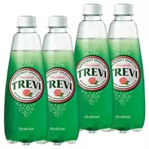 롯데 트레비 자몽 300ml x 40PET (20펫x2박스)