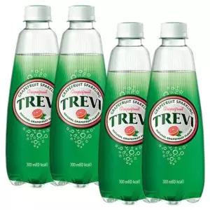 롯데 트레비 자몽 300ml 40PET (20펫x2박스)