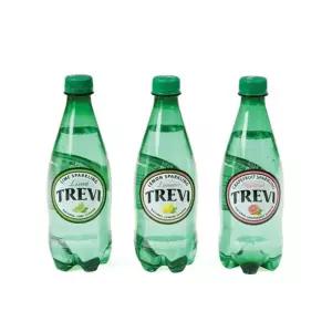 트레비 자몽 500ml 롯데칠성음료