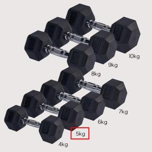 덤벨 아령5kg 홈트 홈짐 덤벨프레스 스쿼트 팔운동