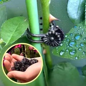 식물 줄기 지지대 핀 덩쿨 고정 넝쿨 집게 원예 용 삔