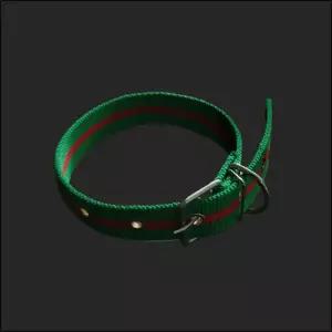 개목줄 PP 특대 30mm 초록 대형 중형 넥밴드 러프웨어걸이 개줄 개목 튼튼 야외 산책 애견 강아지 진돗개