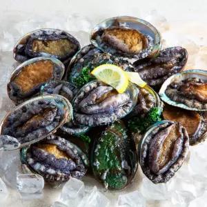 [선물세트]특대 완도 활전복 1kg(12-13미) 산소포장