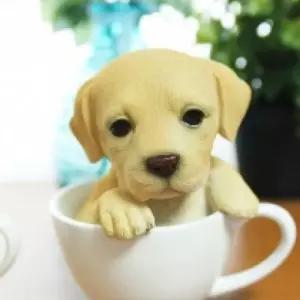 (컵디자인 랜덤) 속의 강아지 Ver2미니 퍼그 달마시안인형 소품 인테리어 튼튼한외관 사계절 사랑담은 귀요