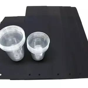 콩나물 기르기컵과 구멍뚫린어둠상자 5인키우기 식물원리 실험 빛실험 광합성 키워보기