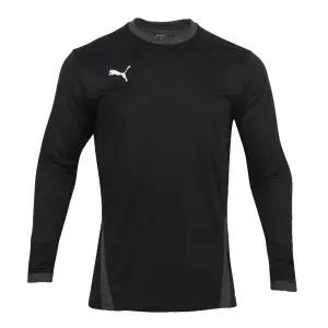 푸마 팀골 롱슬리브 저지라운드티 헬스 긴팔 스포츠 남성 남자 트레이닝 운동