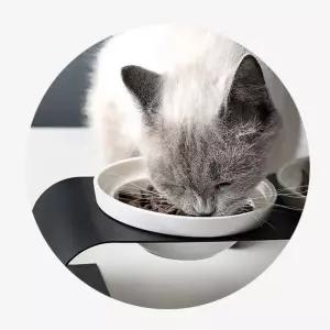 OH 블랙 2구 도자기 반려동물 식애완견 애견더블식판 강아지 용식 견식 이구