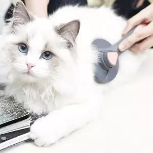 반려동물 애견 애묘 브러쉬 DAJET90809 강아지러시 러시 러쉬 고양이 맛사지 사지 고양이빗 털빗 털기