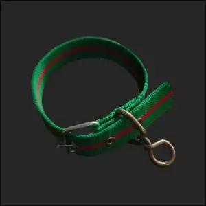 개목줄 PP 슈밸 특대 30mm 초록 대형 중형 애완견걸이 개줄 개목 튼튼 야외 산책 애견 강아지 진돗개 시고