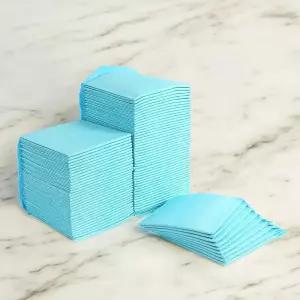 게더릭 강아지 배변패드 100매 (도톰한) (33x45cm)반려견소변 배변판 애완 동물 반려 화장실