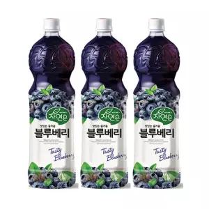 웅진 자연은 블루베리 1.5L 9펫