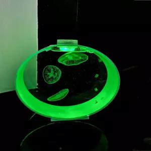 해파리키우기 미니어항 무드등 네모난 수족관 해파리 물멍