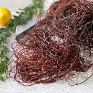 [하라네]완도 생물 꼬시래기 당일조업 해초 1kg