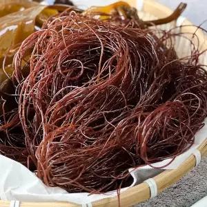 [하라네]완도 생물 꼬시래기 당일조업 해초 4kg