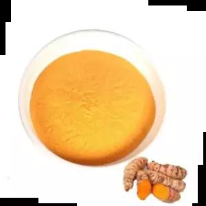 한방농축분말 강황추출분말 1kg