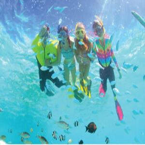 [괌] 피쉬아이 마린파크 스노클링 VS 스노클링 + 런치뷔페(선택가능)