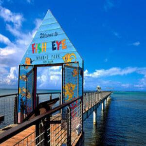 [괌] 피쉬아이 해중전망대 + 코코넛 체험(런치뷔페 선택가능)