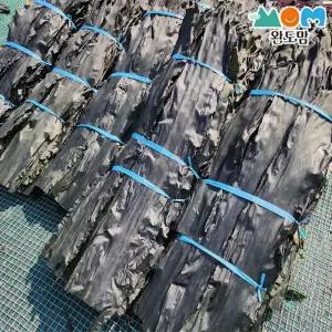 완도 25년 햇 건다시마 500g 두툼하고 맛있는