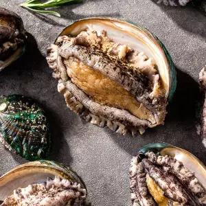 완도 활전복 (특대) 1kg 7-10미 싱싱한 참전복 전복선물세트 산소포장 생물