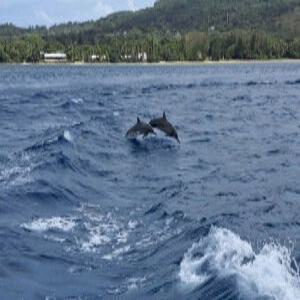 괌 돌핀크루즈 커플FESTIVAL!! 2인&회&맥주&스노클링&선상낚시&한국인 가이드