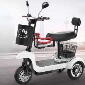 삼륜 전동스쿠터 여성 출퇴근용 미니 세발 전동차 48V