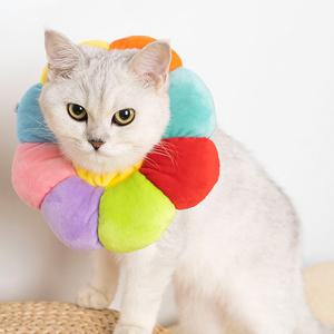 써티이얼즈 강아지 고양이 넥카라 목보호대 목쿠션