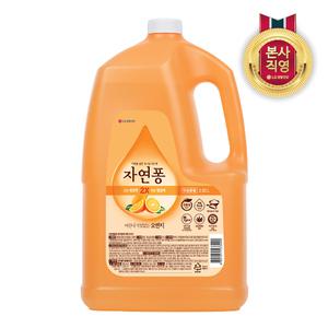 자연퐁 오렌지 3.92L 1개